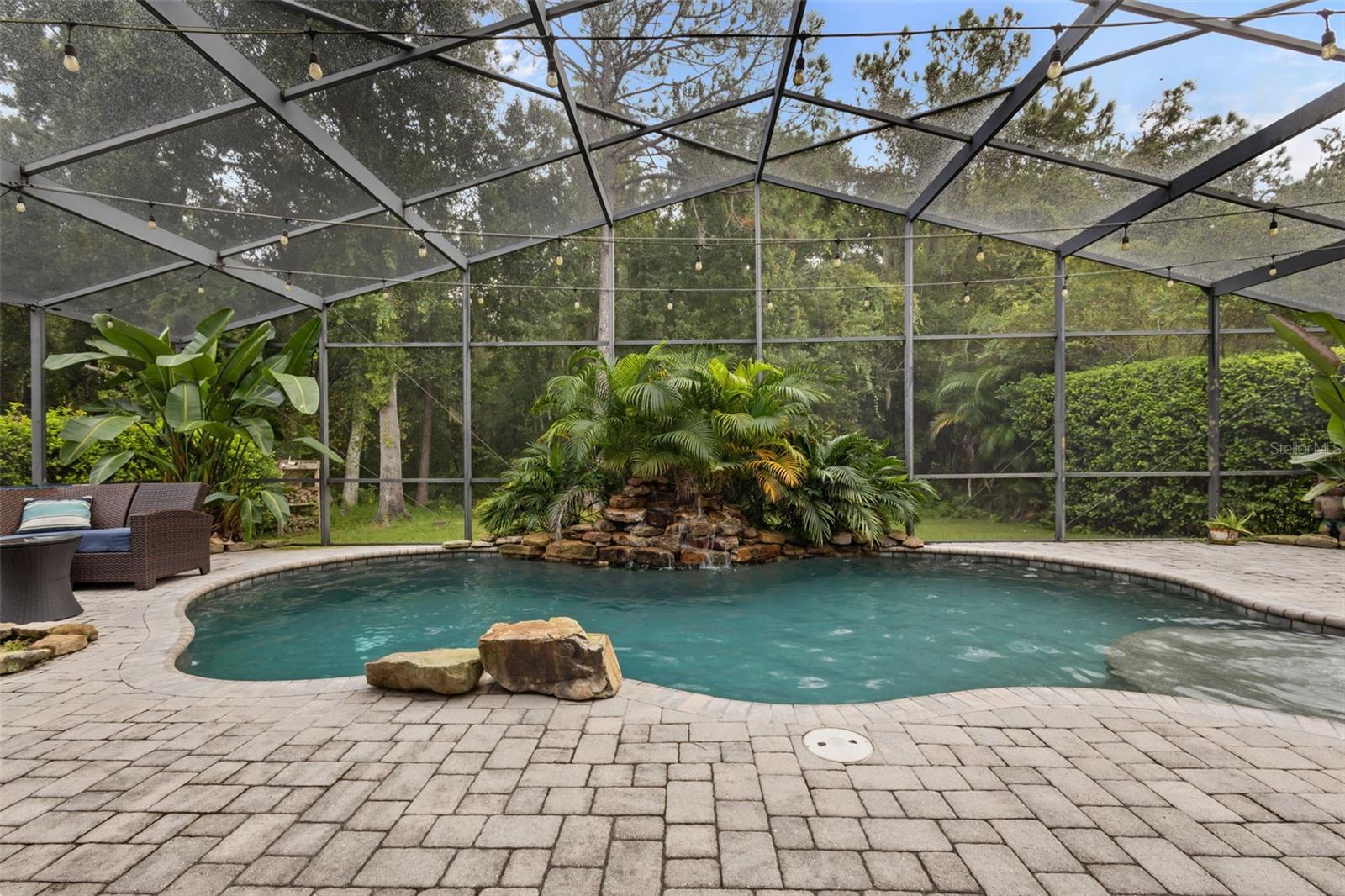 7729 Arelli Dr, Trinity, FL 34655 photo