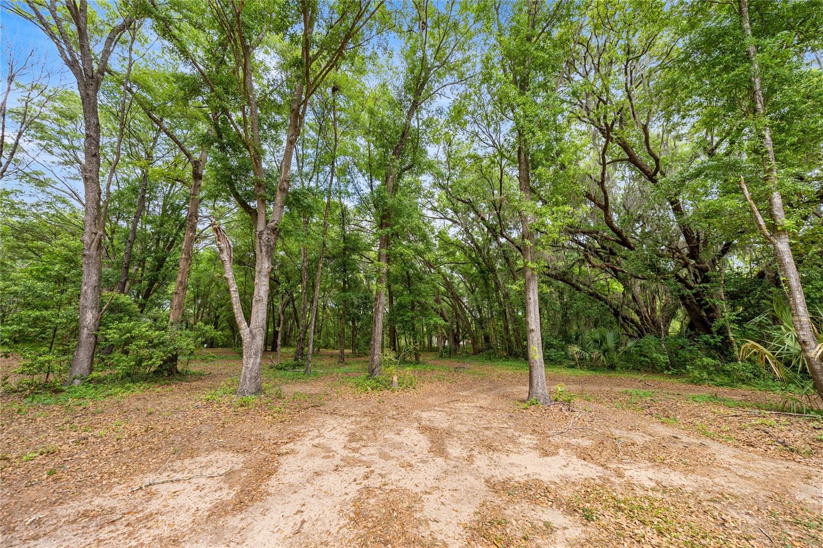 12882 SE 78 Terrace, Summerfield, FL 34491 photo