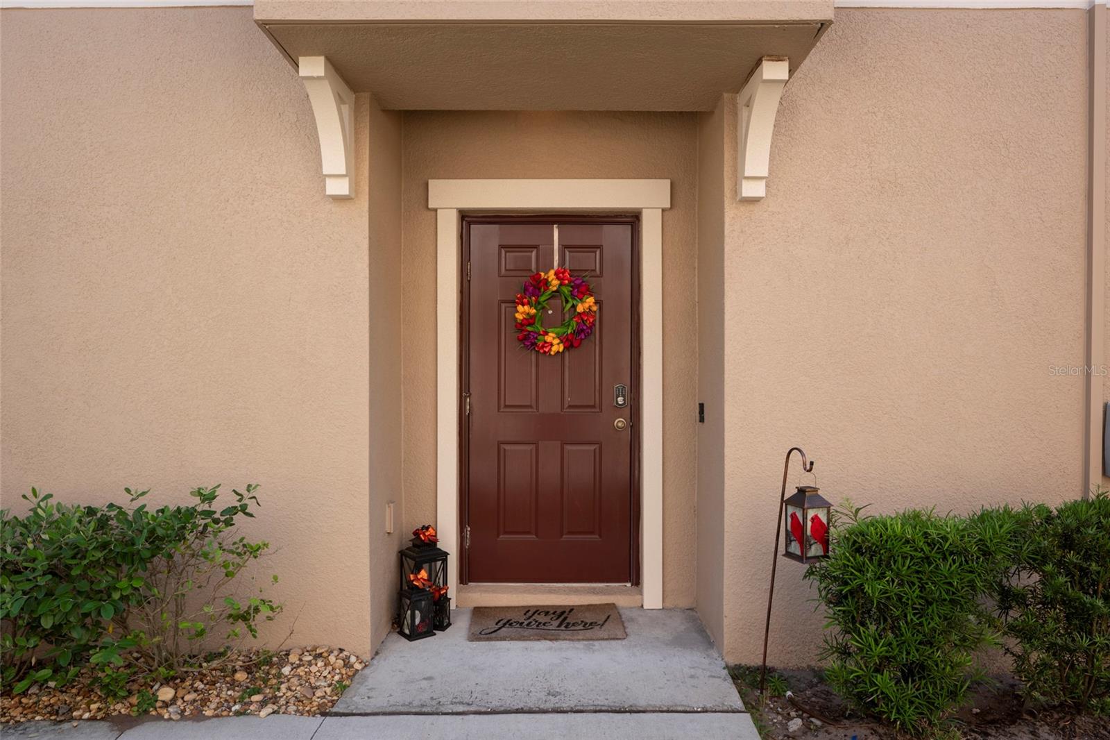 11704 Castine St, New Port Richey, FL 34654 photo