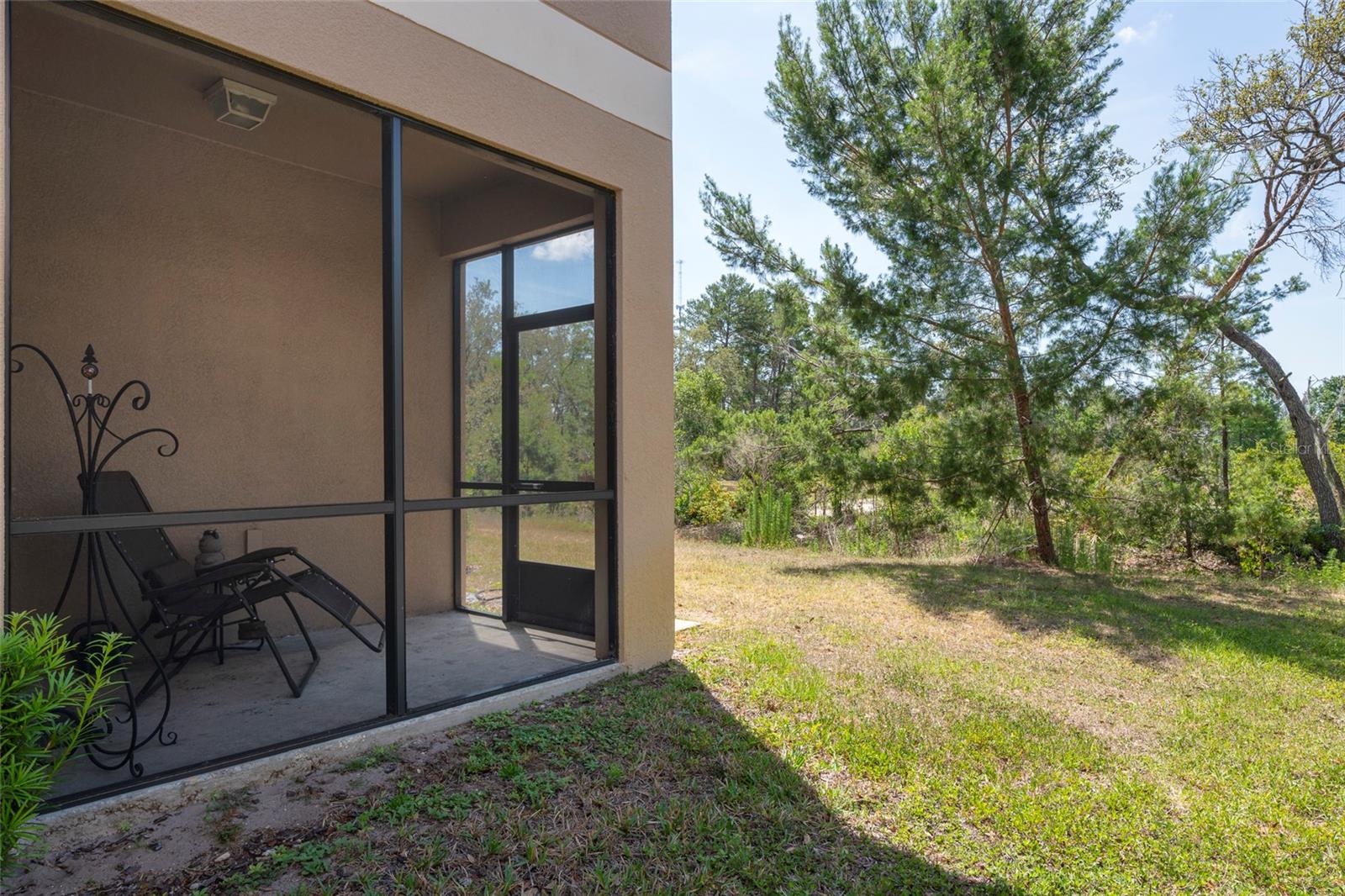 11704 Castine St, New Port Richey, FL 34654 photo