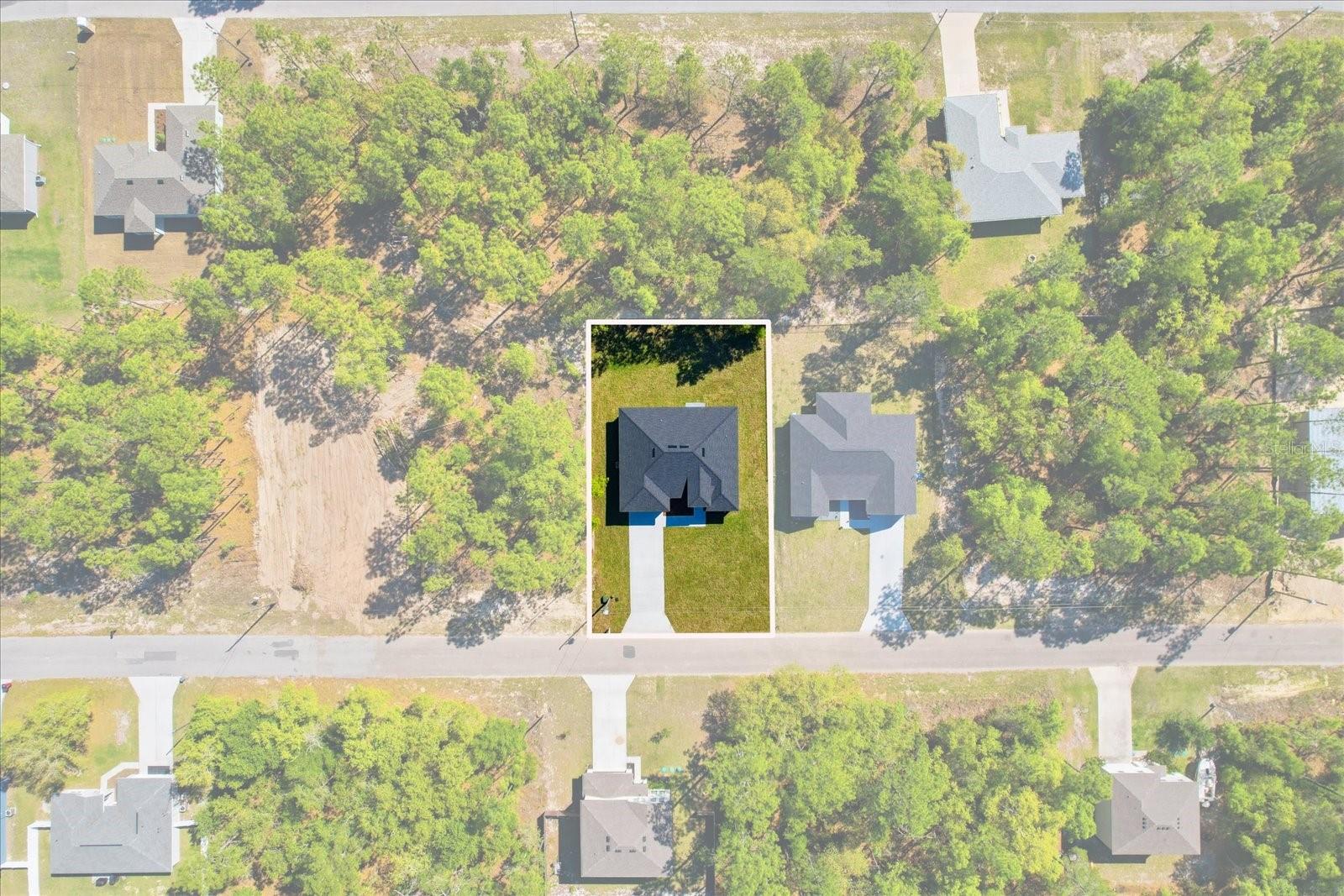 9319 N Cortlandt Dr, Citrus Springs, FL 34434 photo