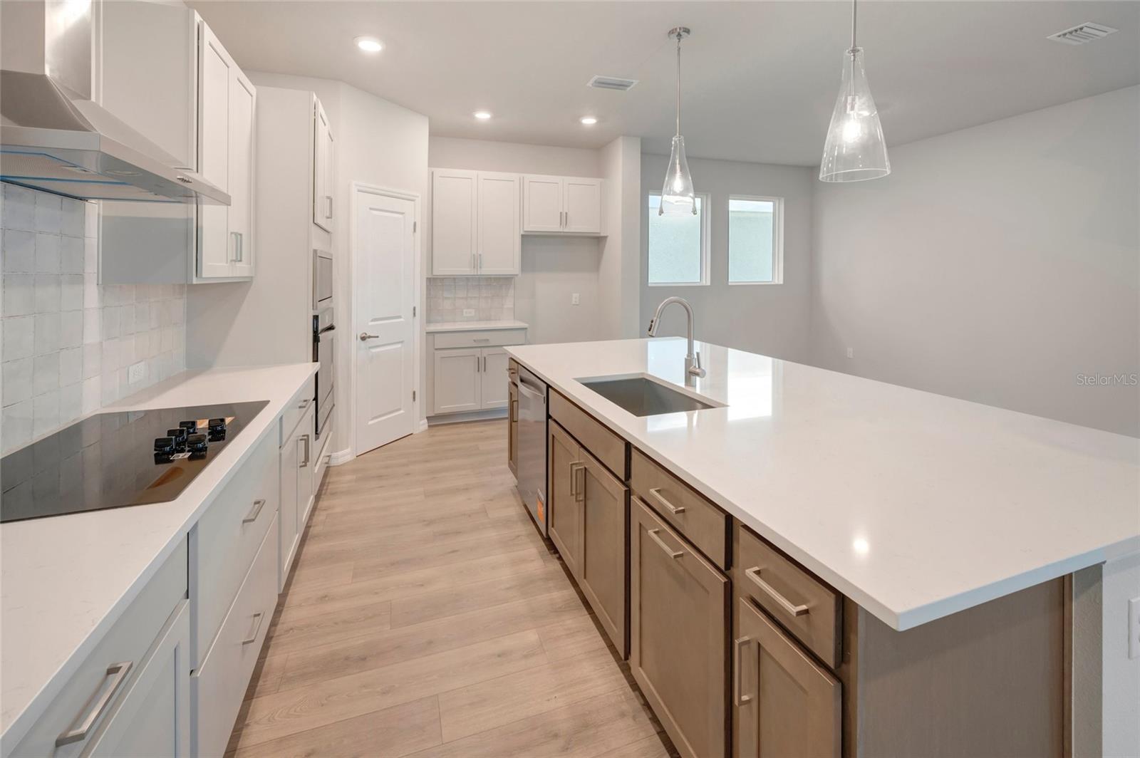 31051 Pendleton Landing Cir, Wesley Chapel, FL 33545 photo