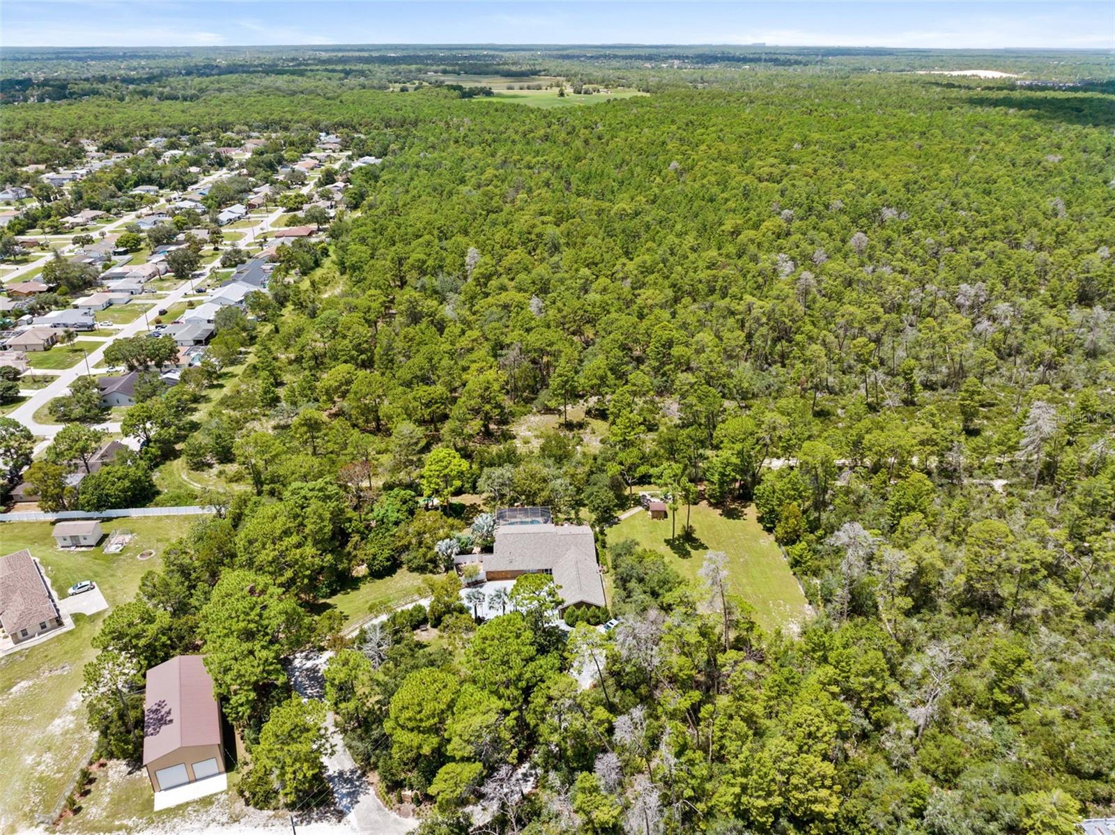 12348 Talpa St, Spring Hill, FL 34608 photo