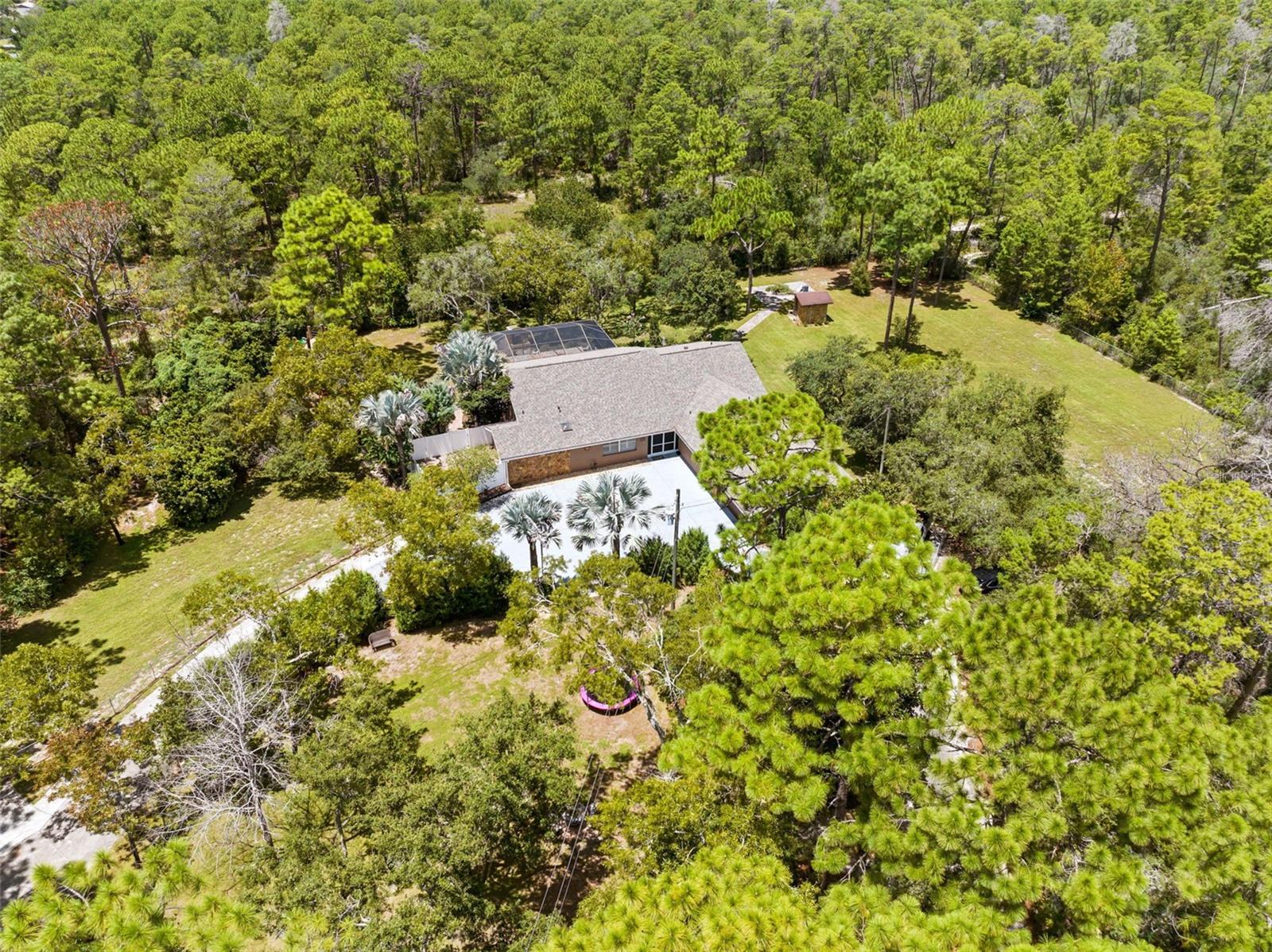 12348 Talpa St, Spring Hill, FL 34608 photo