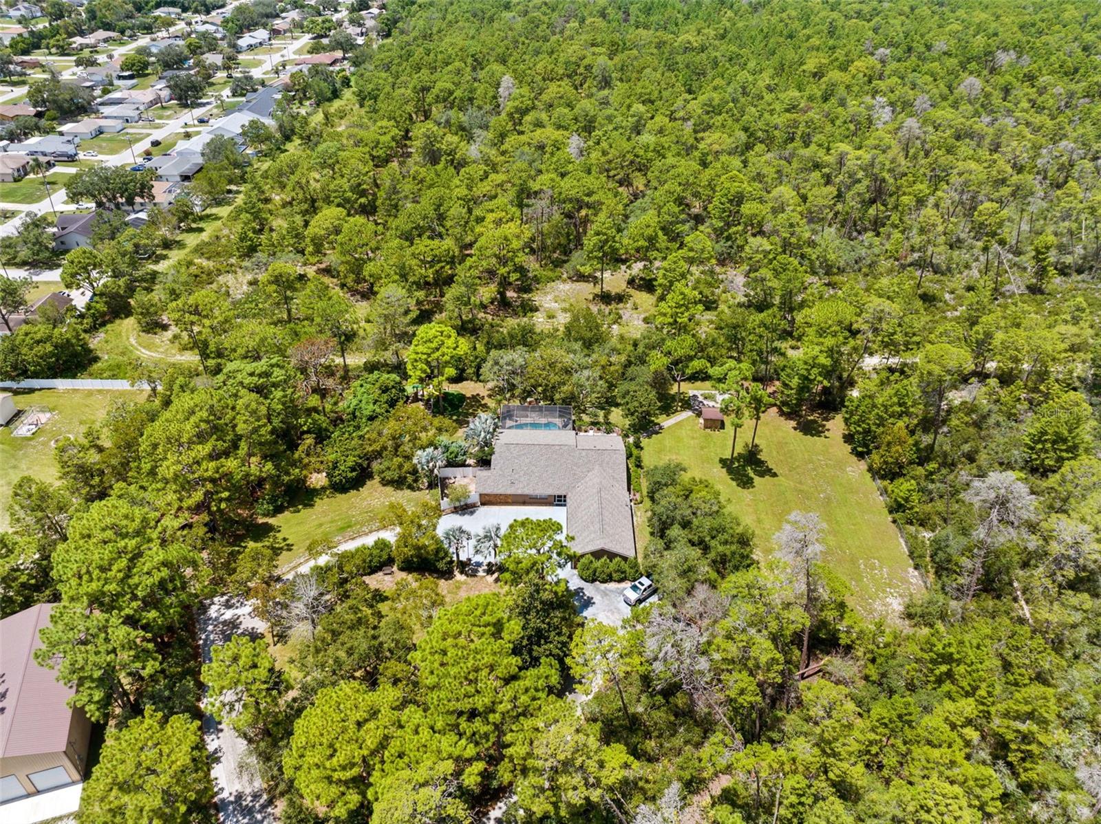 12348 Talpa St, Spring Hill, FL 34608 photo