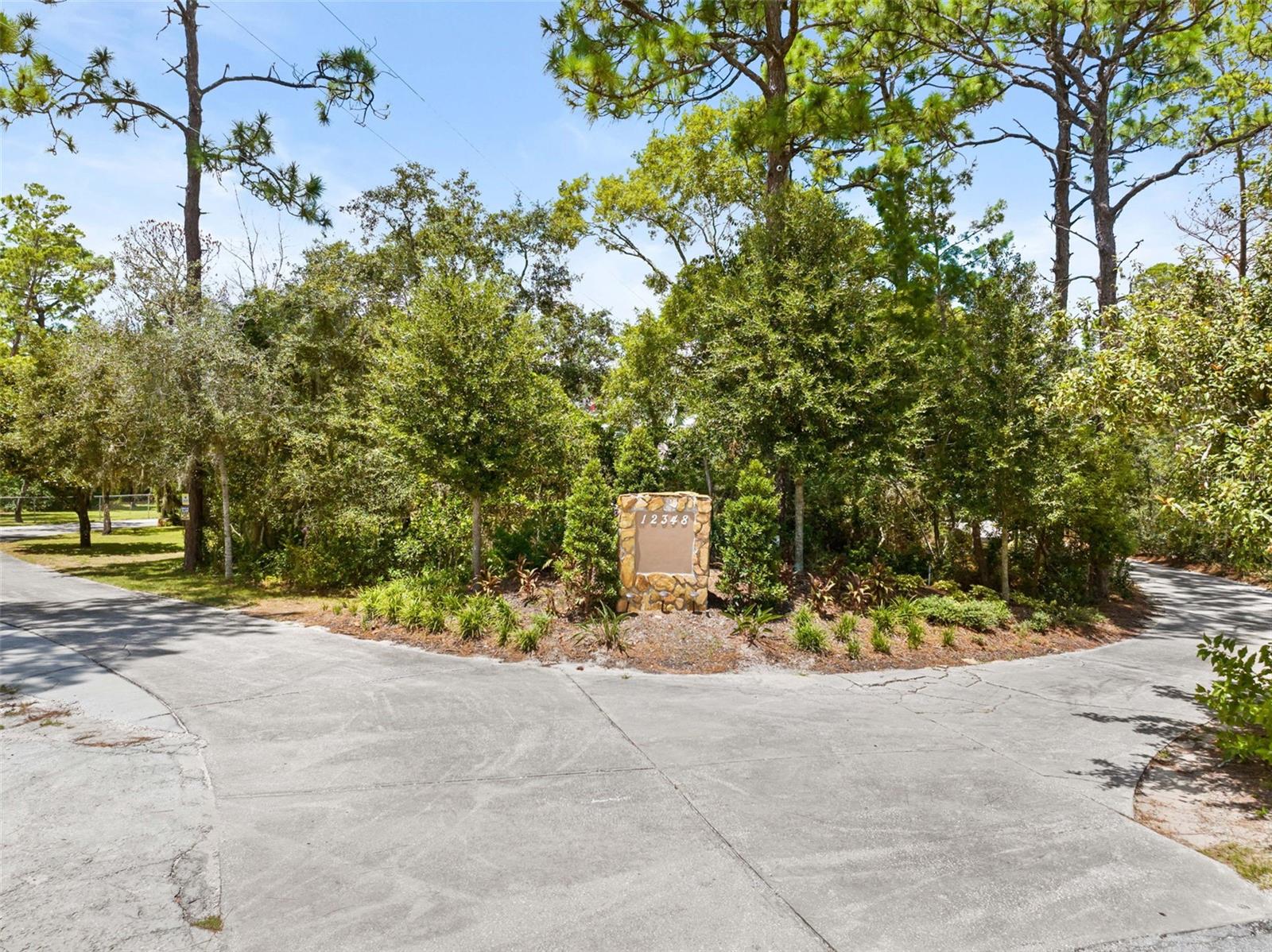 12348 Talpa St, Spring Hill, FL 34608 photo