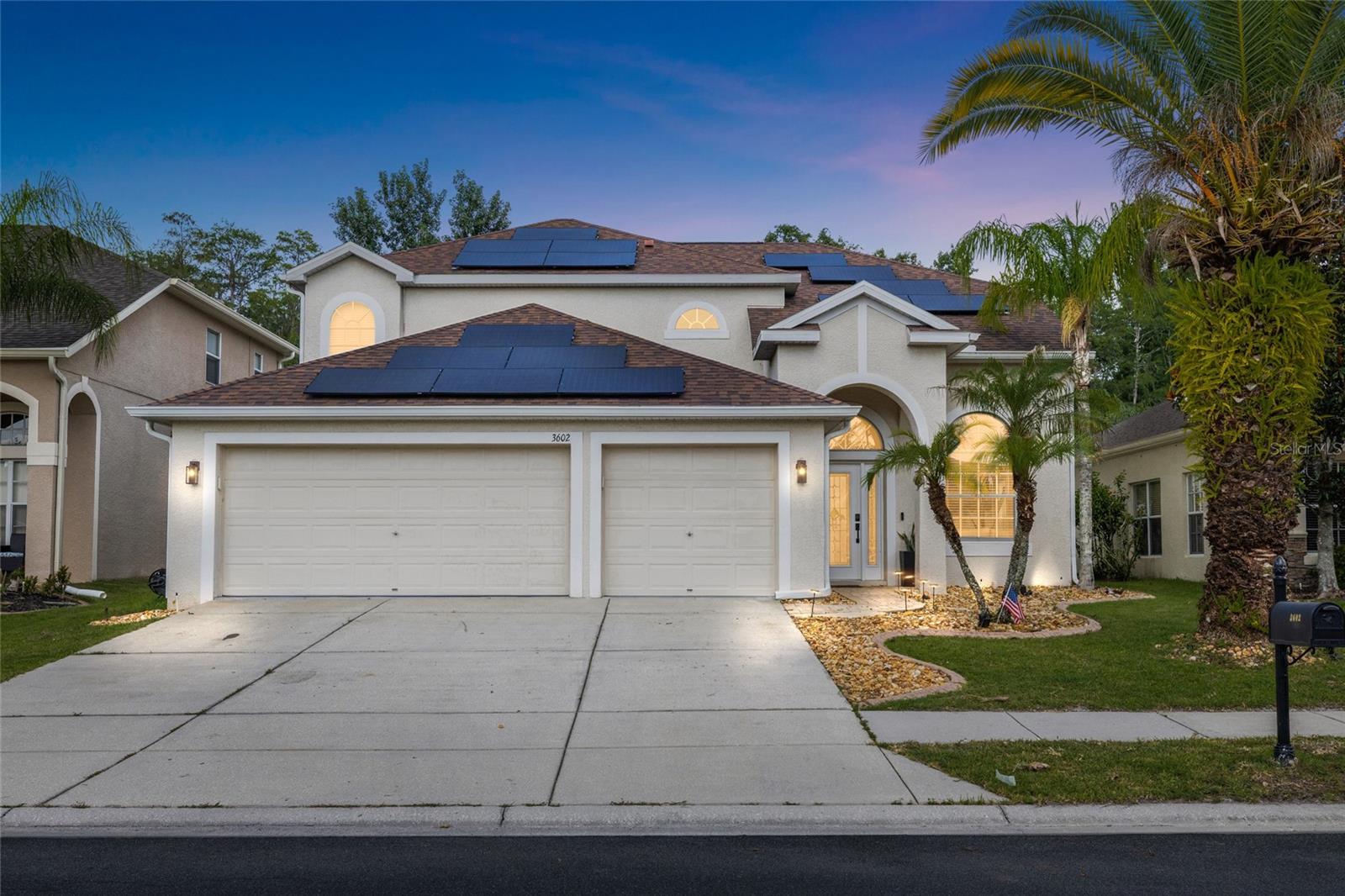 3602 Morgans Bluff Ct, Land O Lakes, FL 34639 photo