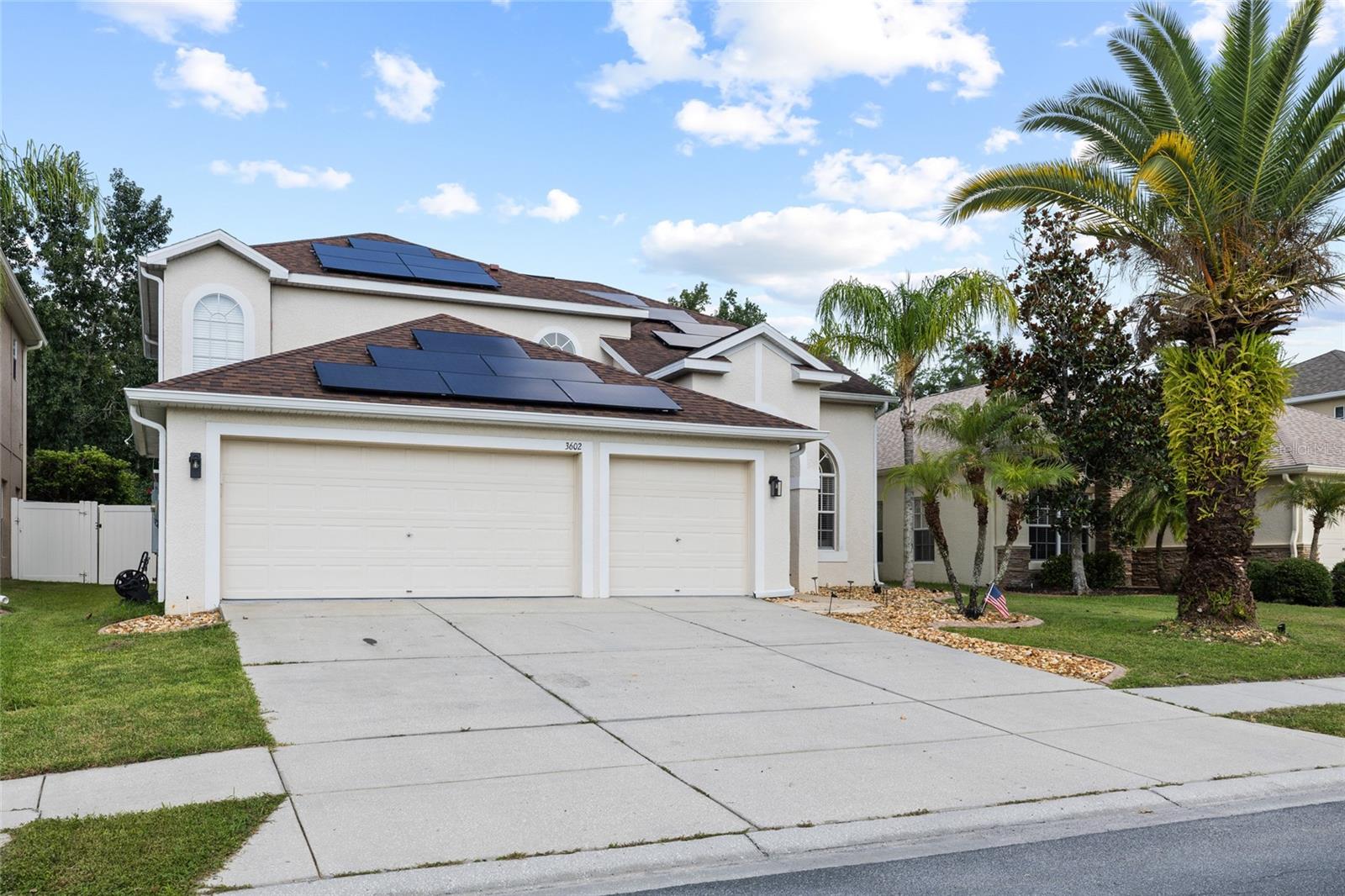 3602 Morgans Bluff Ct, Land O Lakes, FL 34639 photo