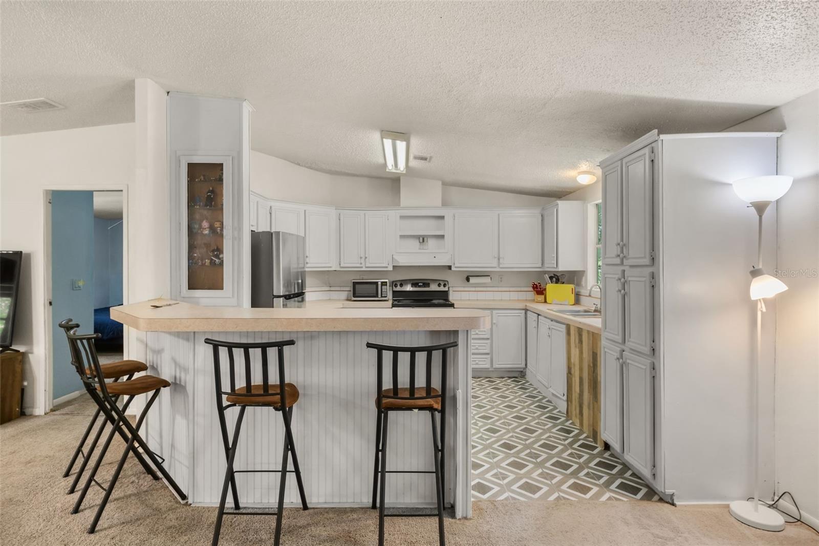 3002 SW 127 Ave, Webster, FL 33597 photo