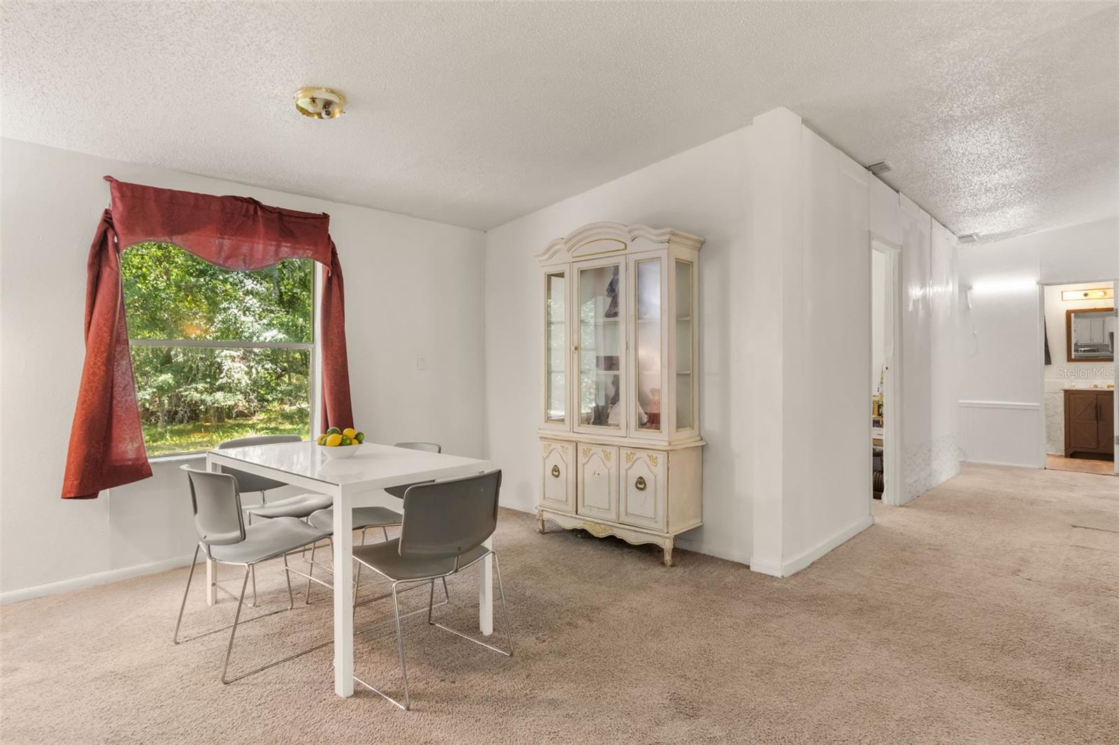 3002 SW 127 Ave, Webster, FL 33597 photo