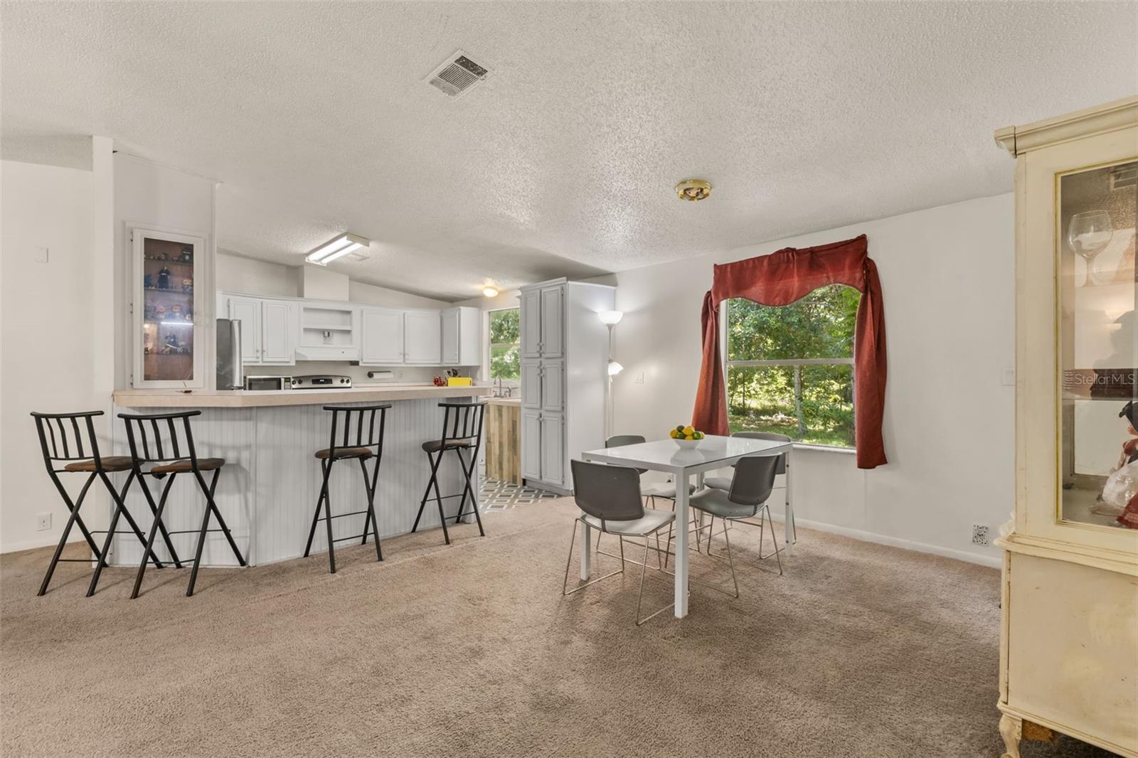 3002 SW 127 Ave, Webster, FL 33597 photo