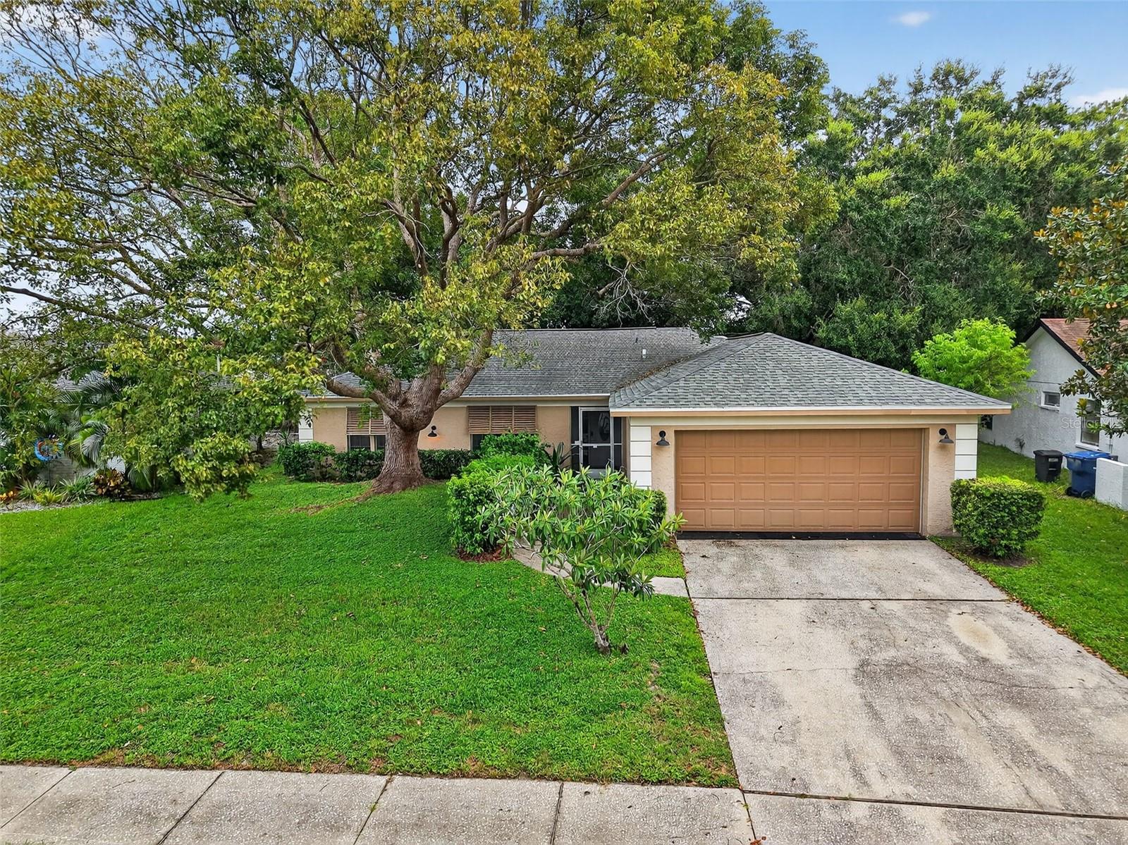 3602 Player Dr, New Port Richey, FL 34655 photo