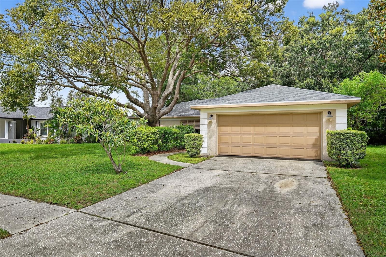 3602 Player Dr, New Port Richey, FL 34655 photo