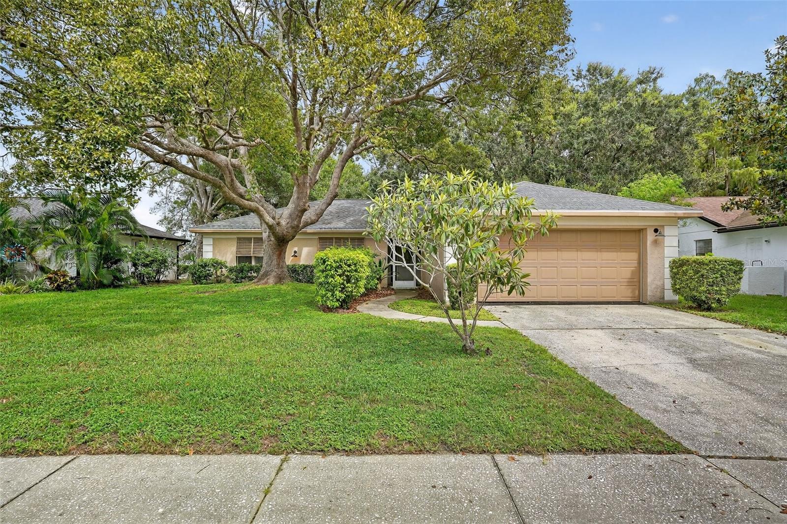 3602 Player Dr, New Port Richey, FL 34655 photo