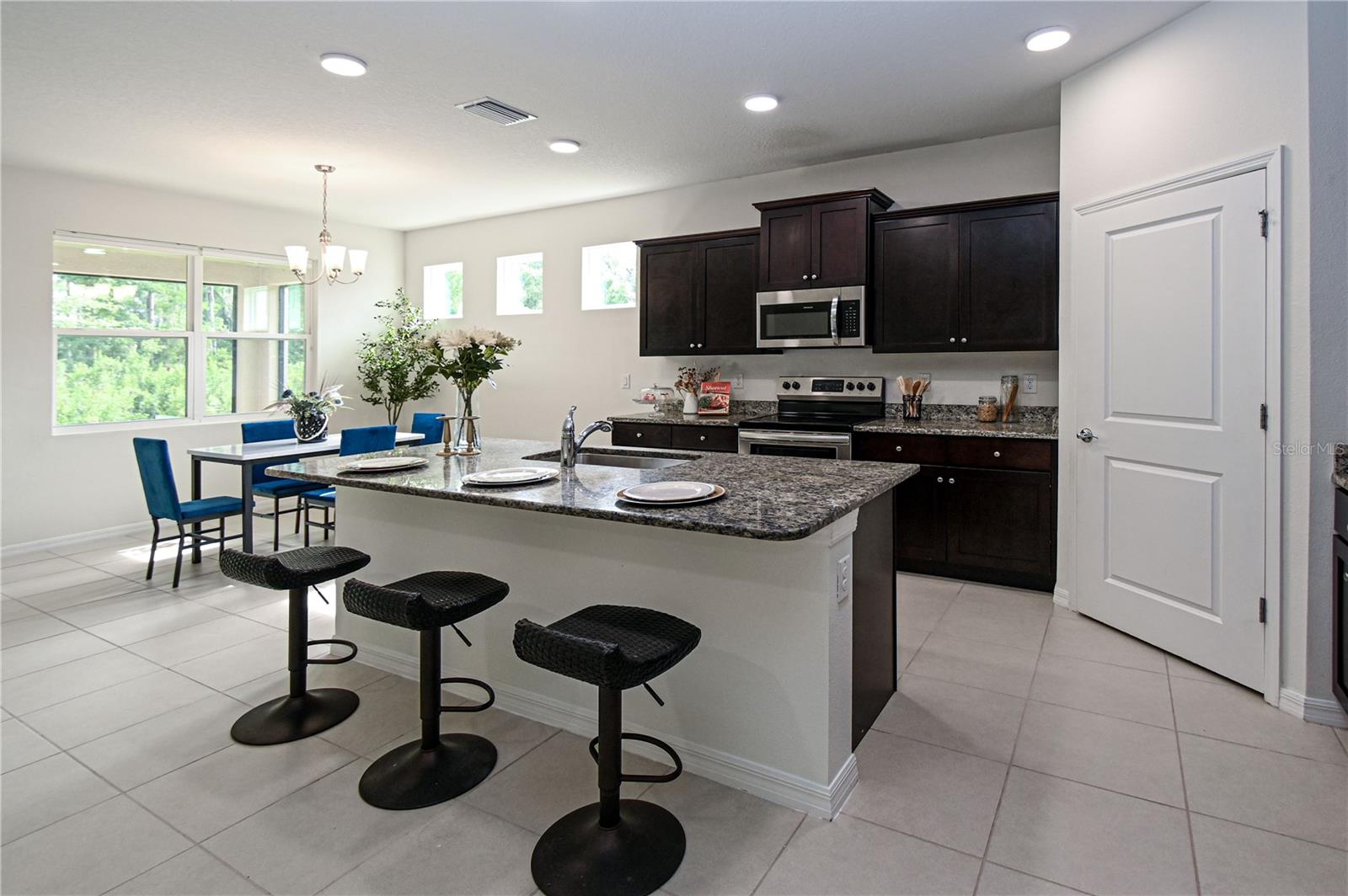 1052 Manzanar Pl, Wesley Chapel, FL 33543 photo