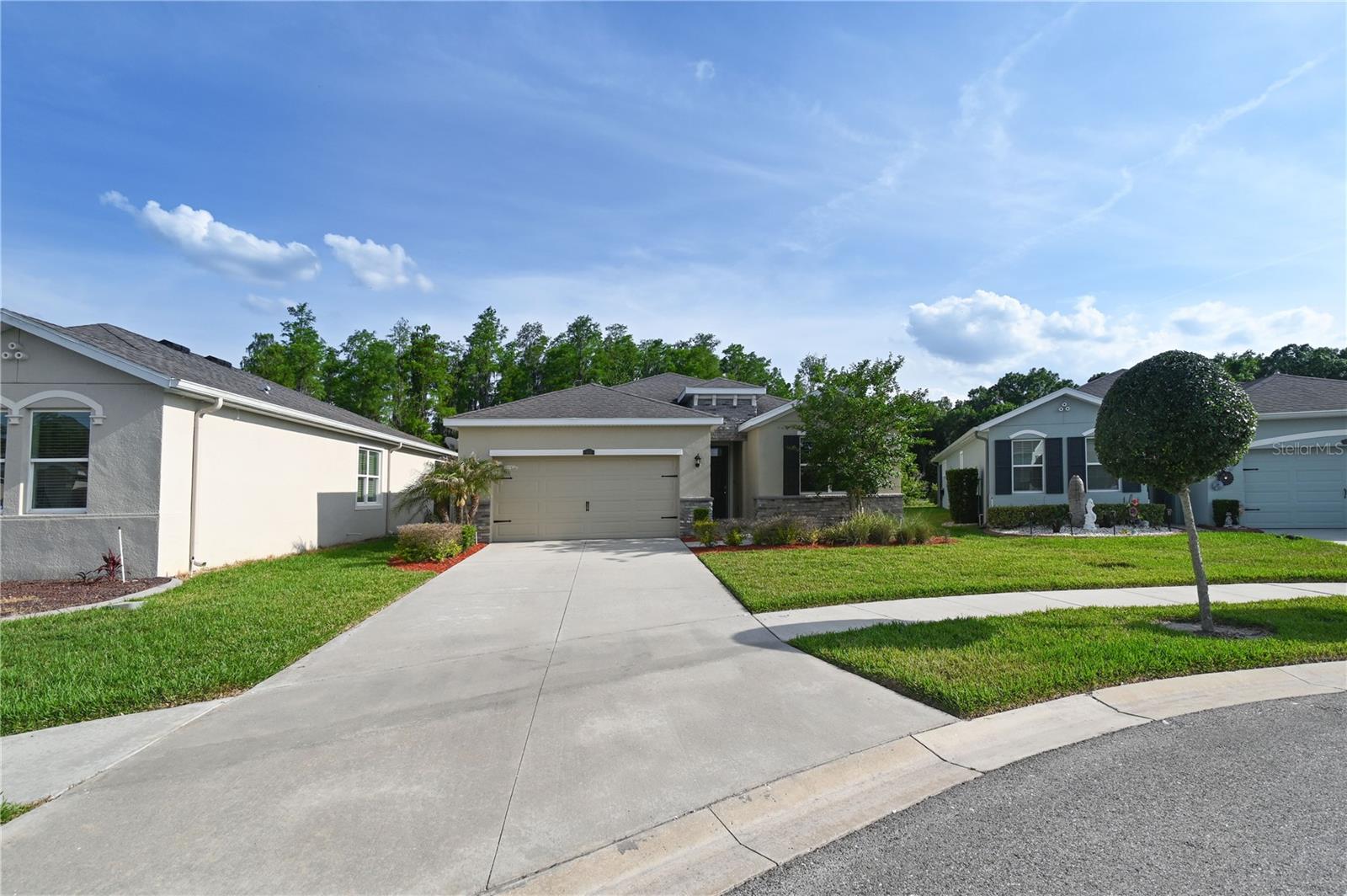 1052 Manzanar Pl, Wesley Chapel, FL 33543 photo