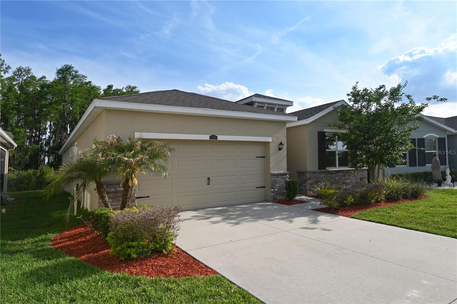 1052 Manzanar Pl, Wesley Chapel, FL 33543 photo