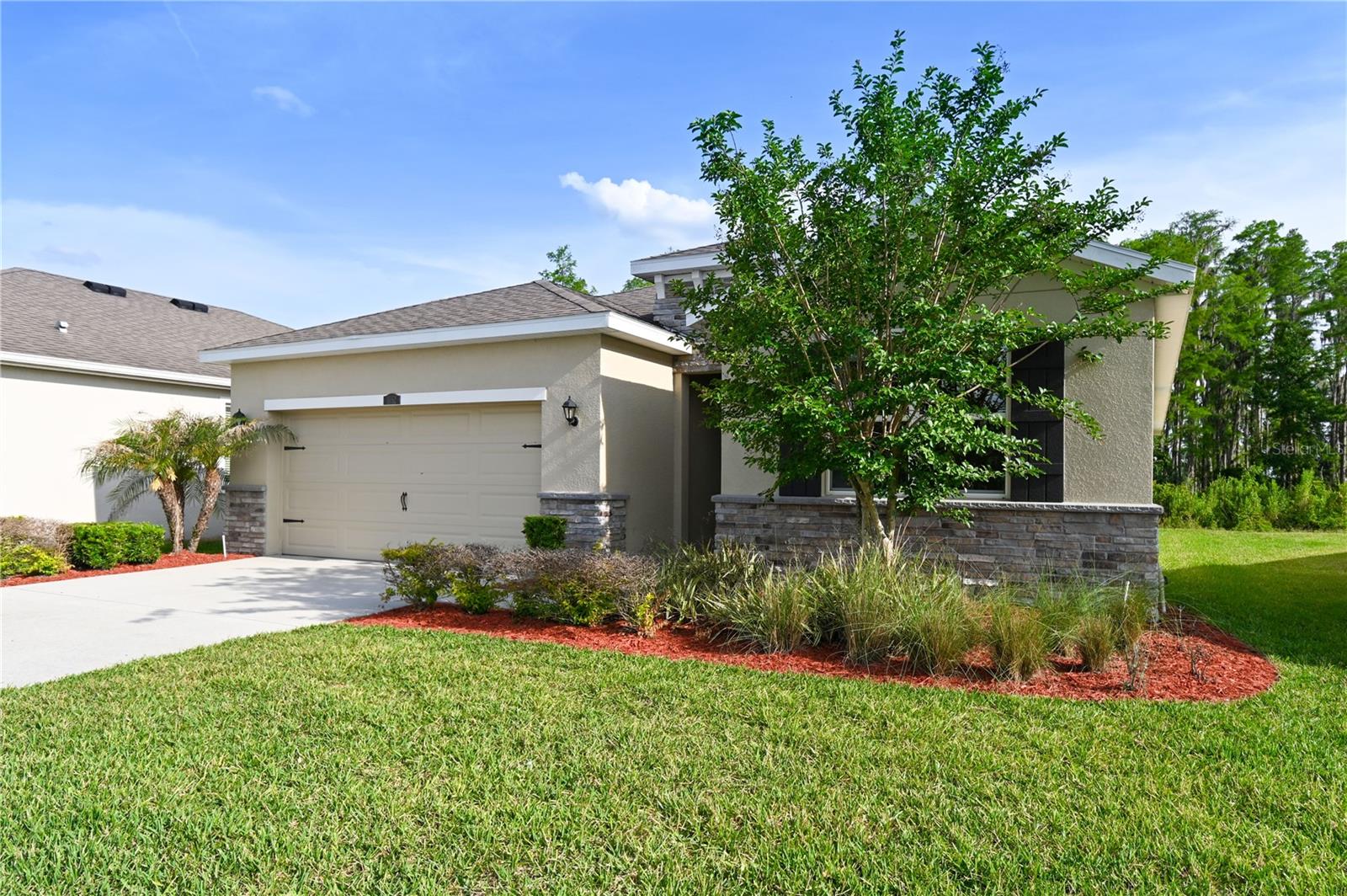 1052 Manzanar Pl, Wesley Chapel, FL 33543 photo