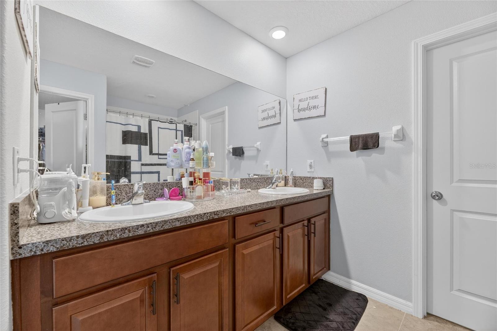 10022 Rose Petal Pl, Riverview, FL 33578 photo