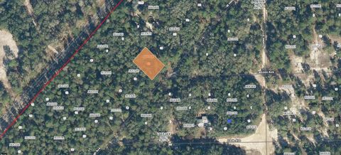 in FLORAHOME FL 118 W HILLSBOROUGH AVENUE.jpg