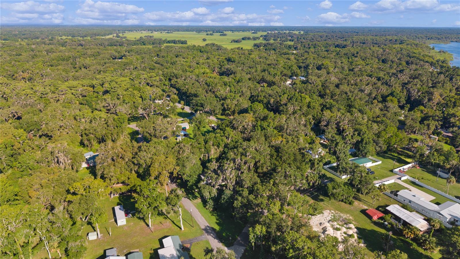 1975 E Crescent 412 Rd, Lake Panasoffkee, FL 33538 photo