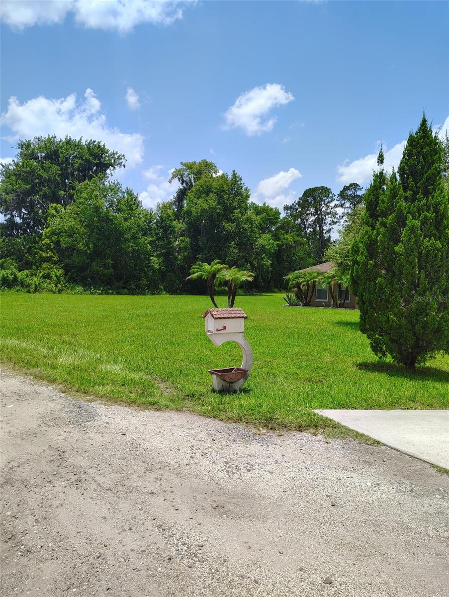 3226 Wheeler Ct, Dover, FL 33527 photo