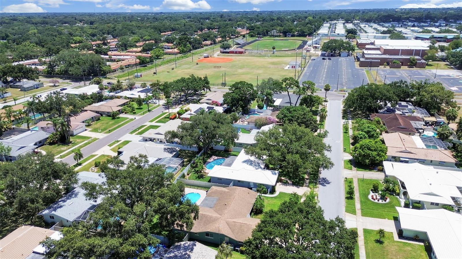 1110 Mclean St, Dunedin, FL 34698 photo