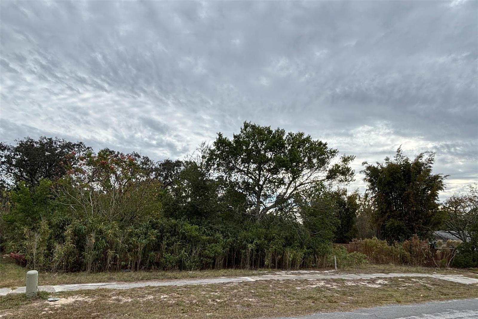 6330 Kelvin Ct, Spring Hill, FL 34606 photo