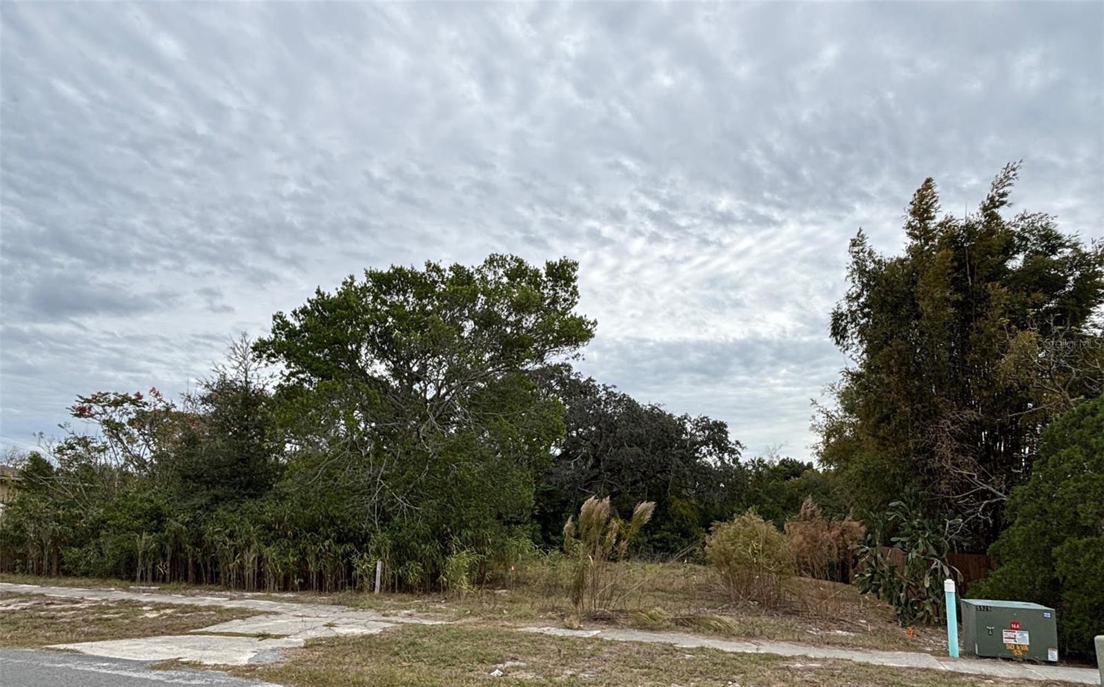 6330 Kelvin Ct, Spring Hill, FL 34606 photo