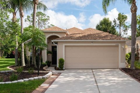 Single Family Residence in LAKEWOOD RANCH FL 11274 BEEBALM CIRCLE.jpg