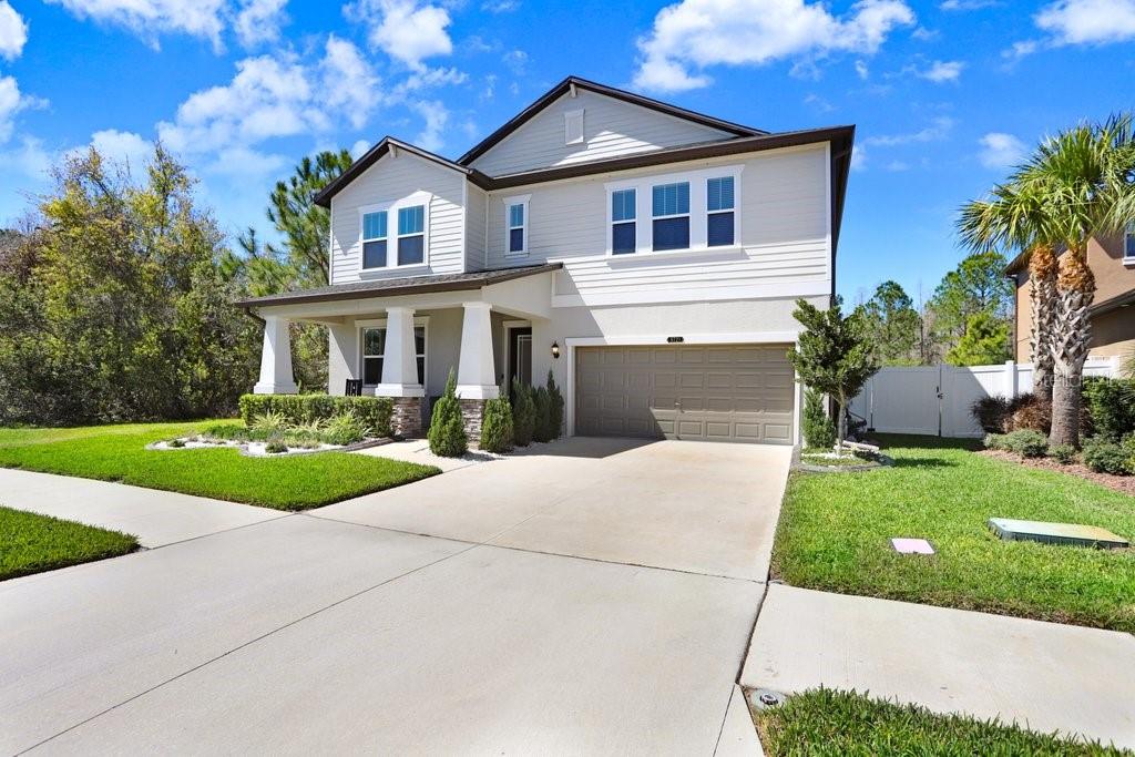 8721 Savory Walk Dr, Land O Lakes, FL 34637 photo