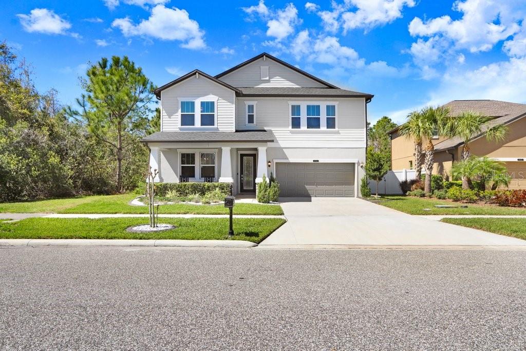 8721 Savory Walk Dr, Land O Lakes, FL 34637 photo