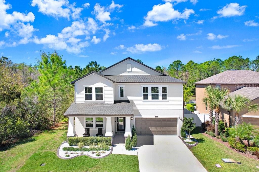 8721 Savory Walk Dr, Land O Lakes, FL 34637 photo