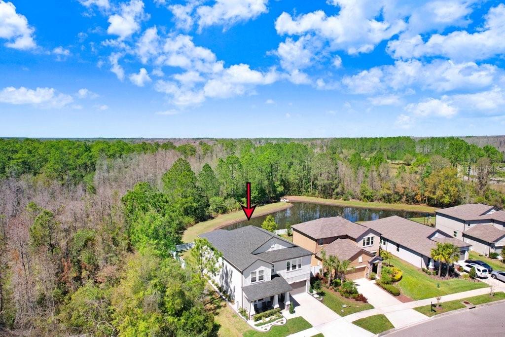 8721 Savory Walk Dr, Land O Lakes, FL 34637 photo