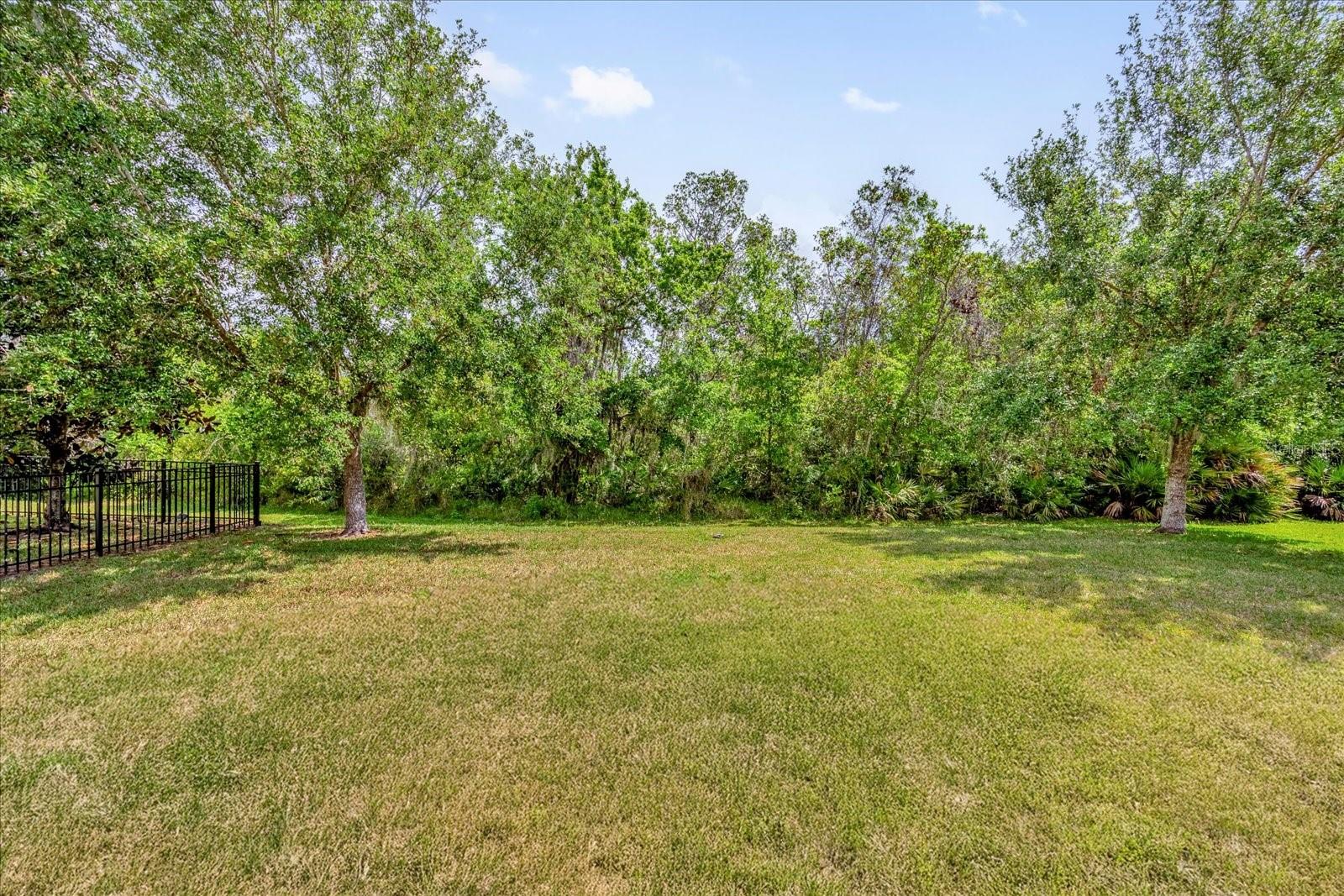 6137 Waterside Island Ln, Winter Garden, FL 34787 photo
