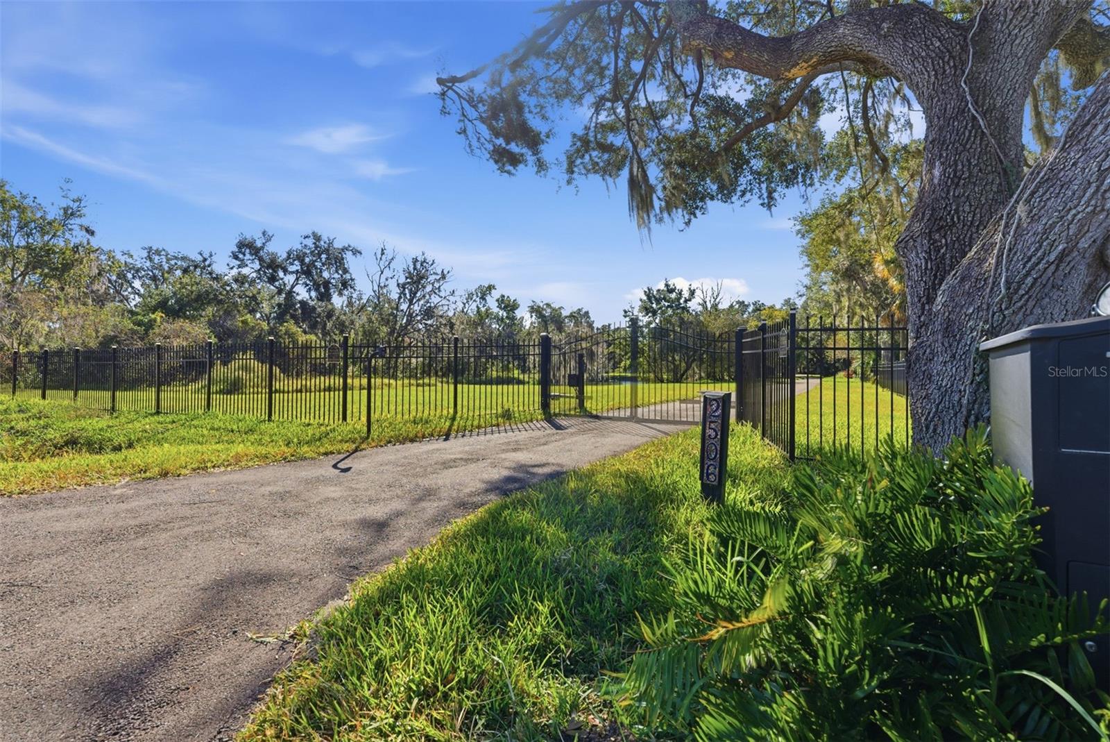 2506 Hawk Griffin Rd, Plant City, FL 33565 photo