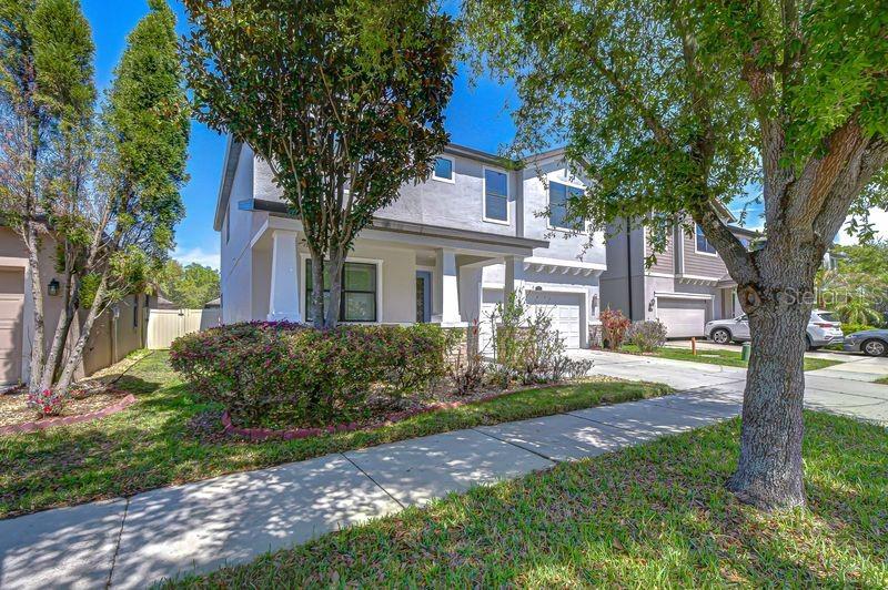 871 Vino Verde Cir, Brandon, FL 33511 photo