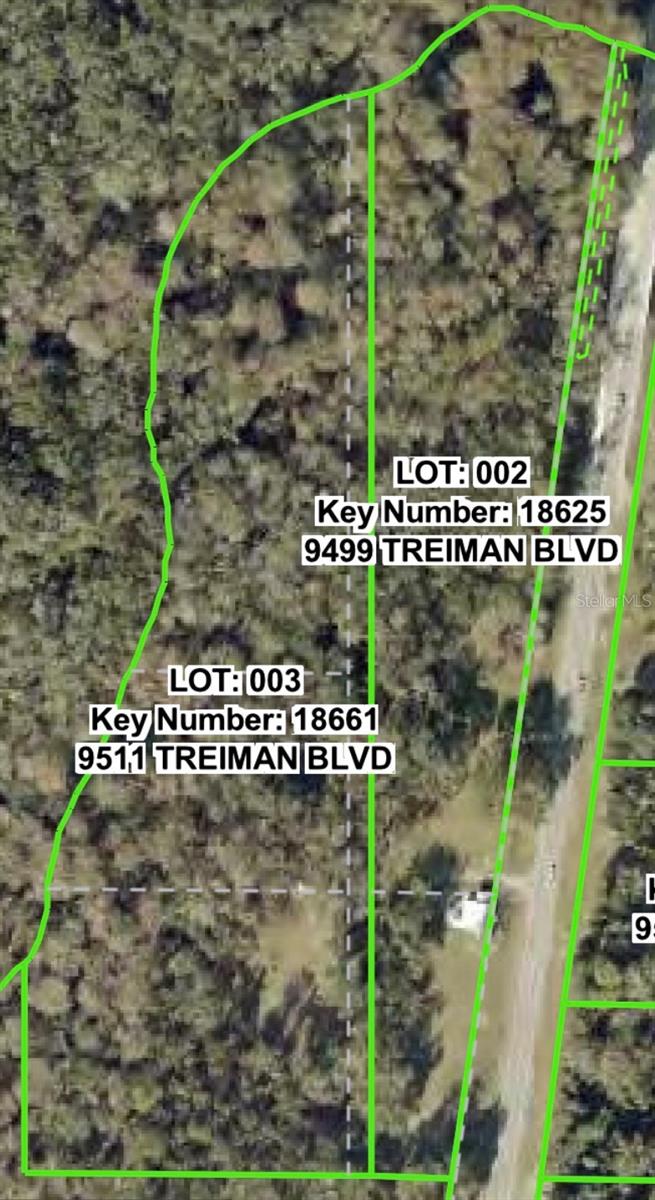 9499 Treiman Blvd, Webster, FL 33597 photo