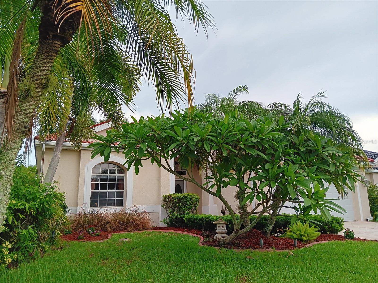 6828 Winslow St, Sarasota, FL 34243 photo