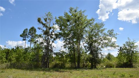  in GAINESVILLE FL OFF HWY 225 36.jpg