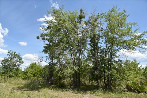  in GAINESVILLE FL OFF HWY 225 35.jpg