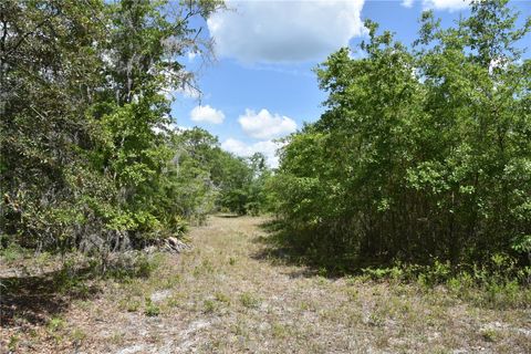  in GAINESVILLE FL OFF HWY 225 26.jpg