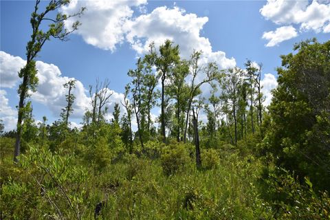  in GAINESVILLE FL OFF HWY 225 32.jpg