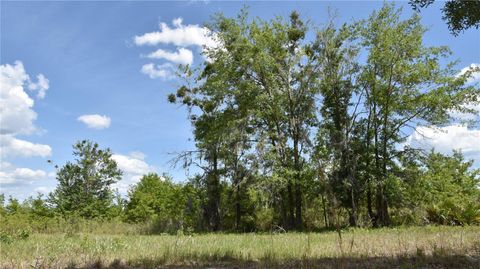  in GAINESVILLE FL OFF HWY 225 2.jpg
