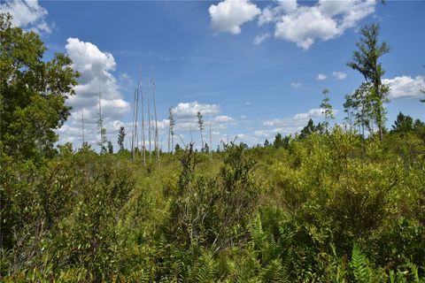 in GAINESVILLE FL OFF HWY 225 33.jpg