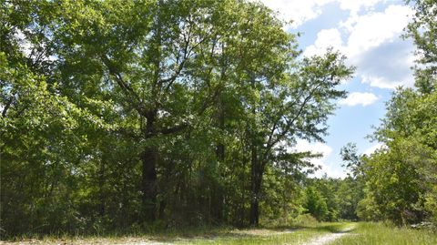  in GAINESVILLE FL OFF HWY 225 3.jpg