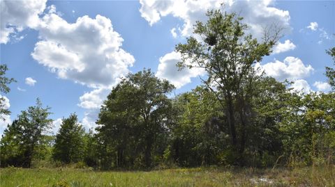  in GAINESVILLE FL OFF HWY 225 20.jpg