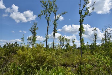  in GAINESVILLE FL OFF HWY 225 22.jpg