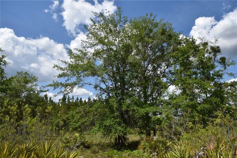 in GAINESVILLE FL OFF HWY 225 34.jpg