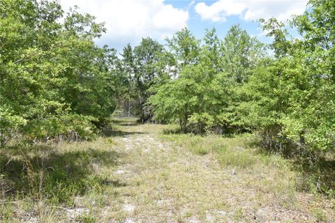  in GAINESVILLE FL OFF HWY 225 19.jpg